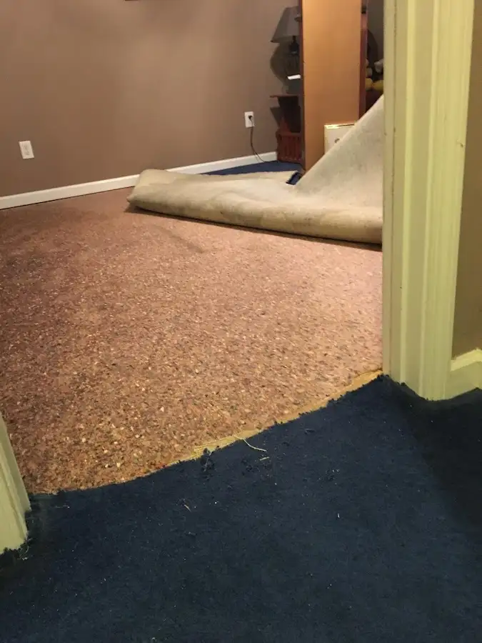 Carpet pad removal revealing water damage during Water Mitigation Services in LaSalle