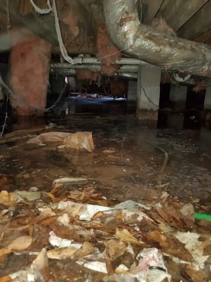 Crawl space flood assessment for Leak Detection & Repair in LaSalle