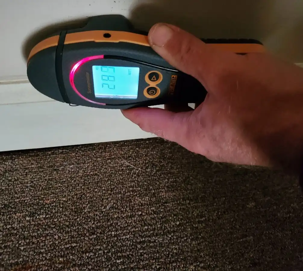 Moisture detection at baseboard during Mold Inspection & Testing in LaSalle
